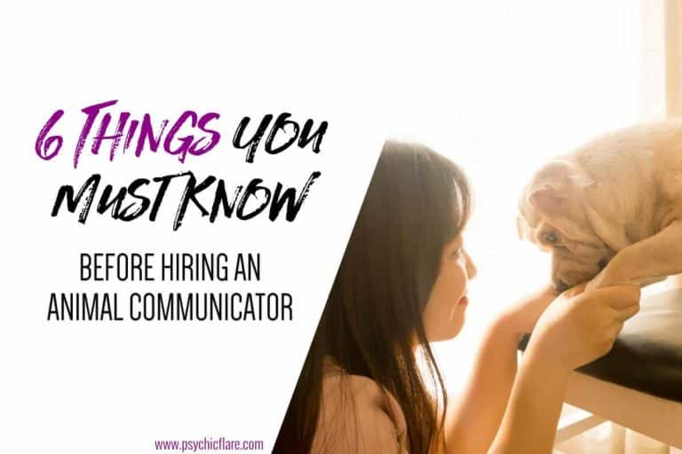 Animal Communicator: 6 Things You Must Know Before Hiring