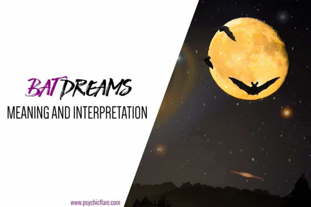 15 Spiritual Meanings of Bats in Dreams (Good & Bad)