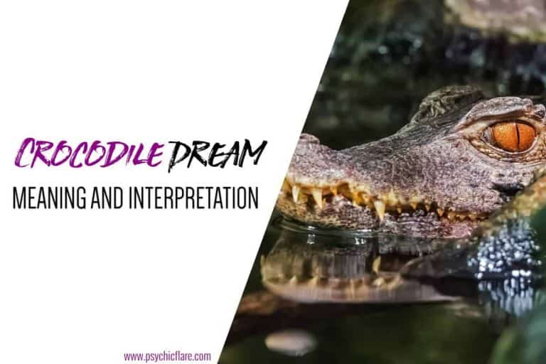 Crocodile Dream Meaning: Spiritual Messages & Symbolism