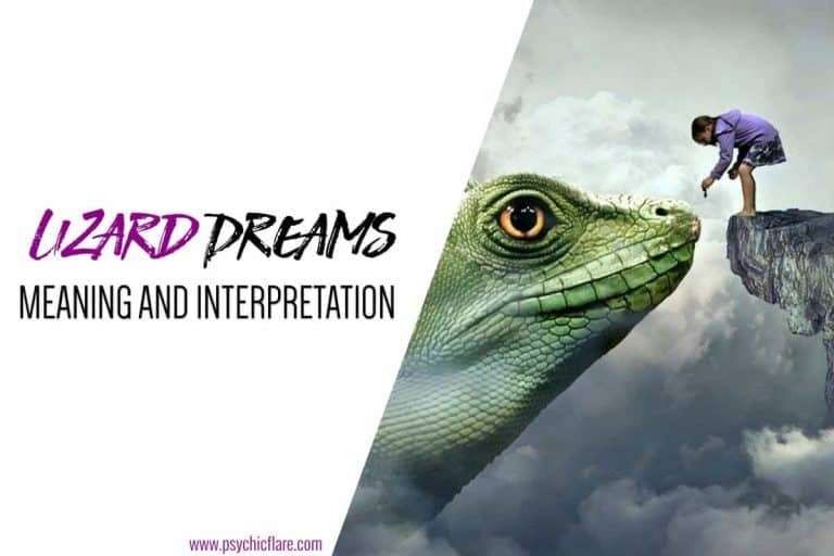 40 Spiritual Lizard Dream Meanings & Scenarios