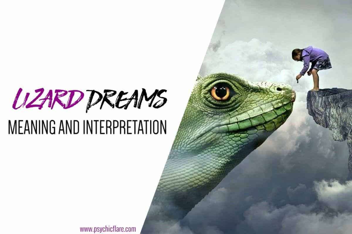 Lizard Dreams Meaning Spiritual Messages Symbolism