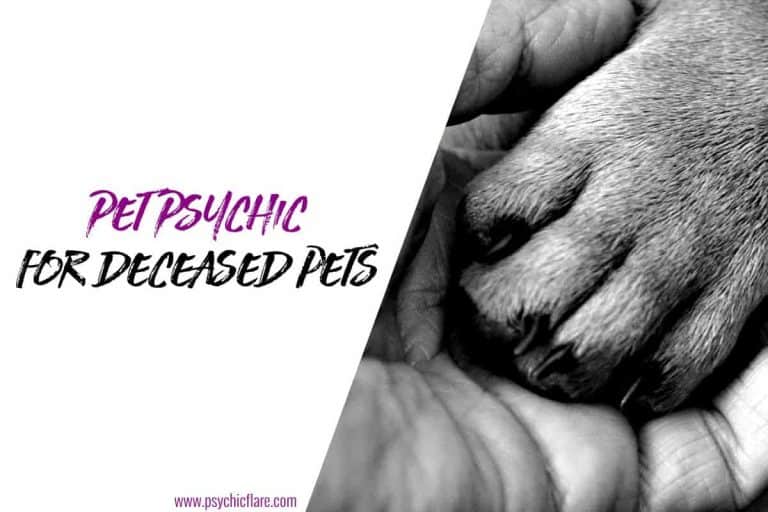 How Pet Psychics Communicate with Deceased Pets (Explained)