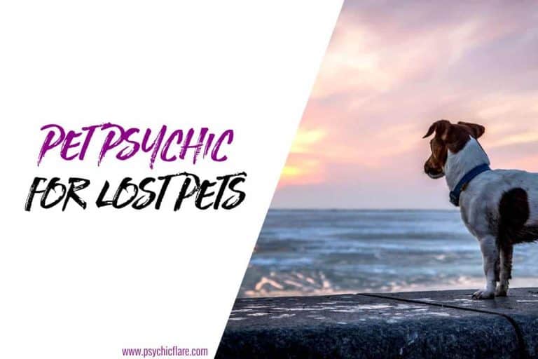 Pet Psychic for Lost Pets