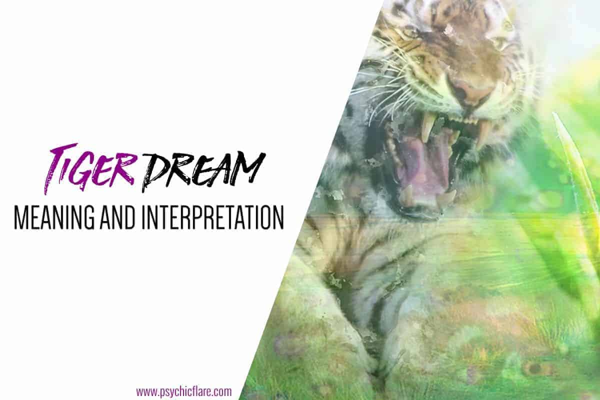 tiger in a dream