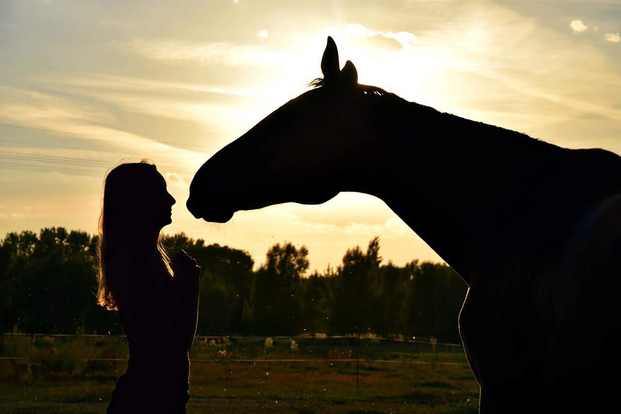 silhouette girl horse