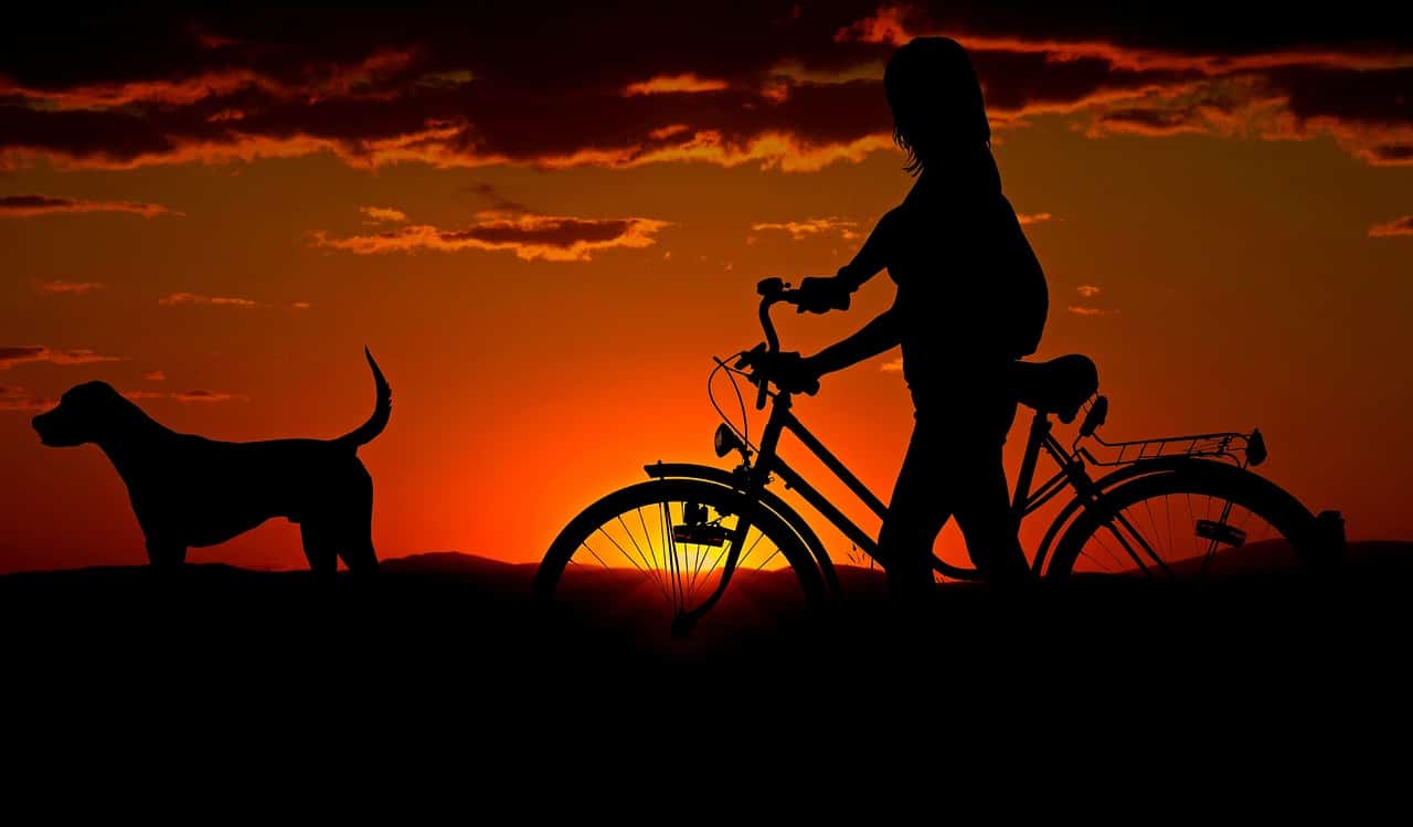 sunset woman bike dog