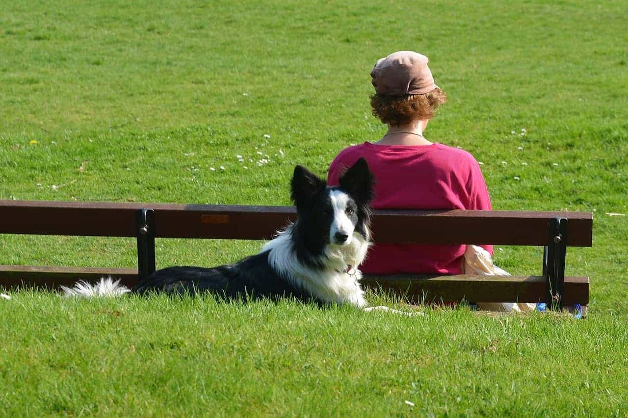 woman bench dog