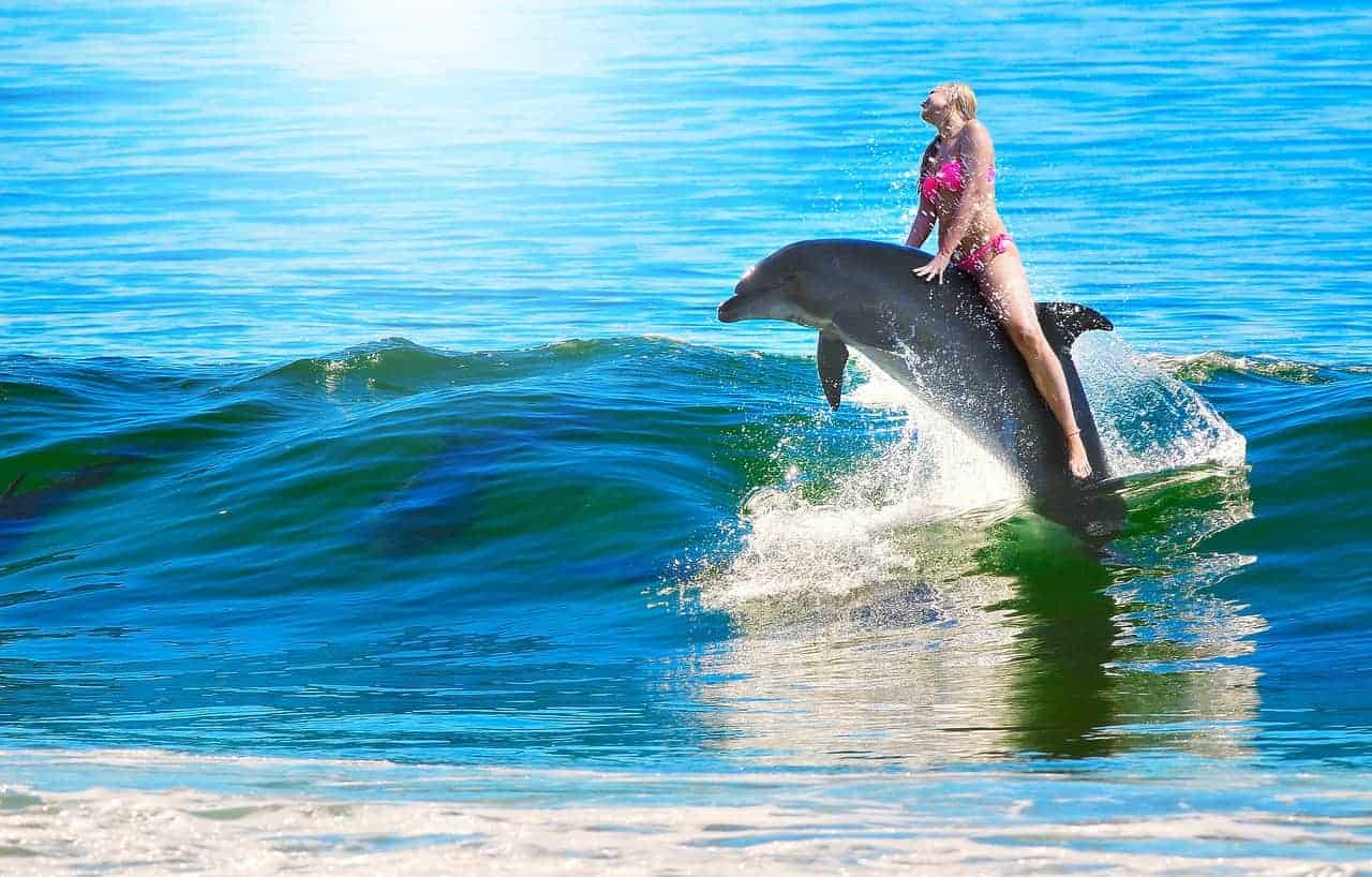 riding dolphin