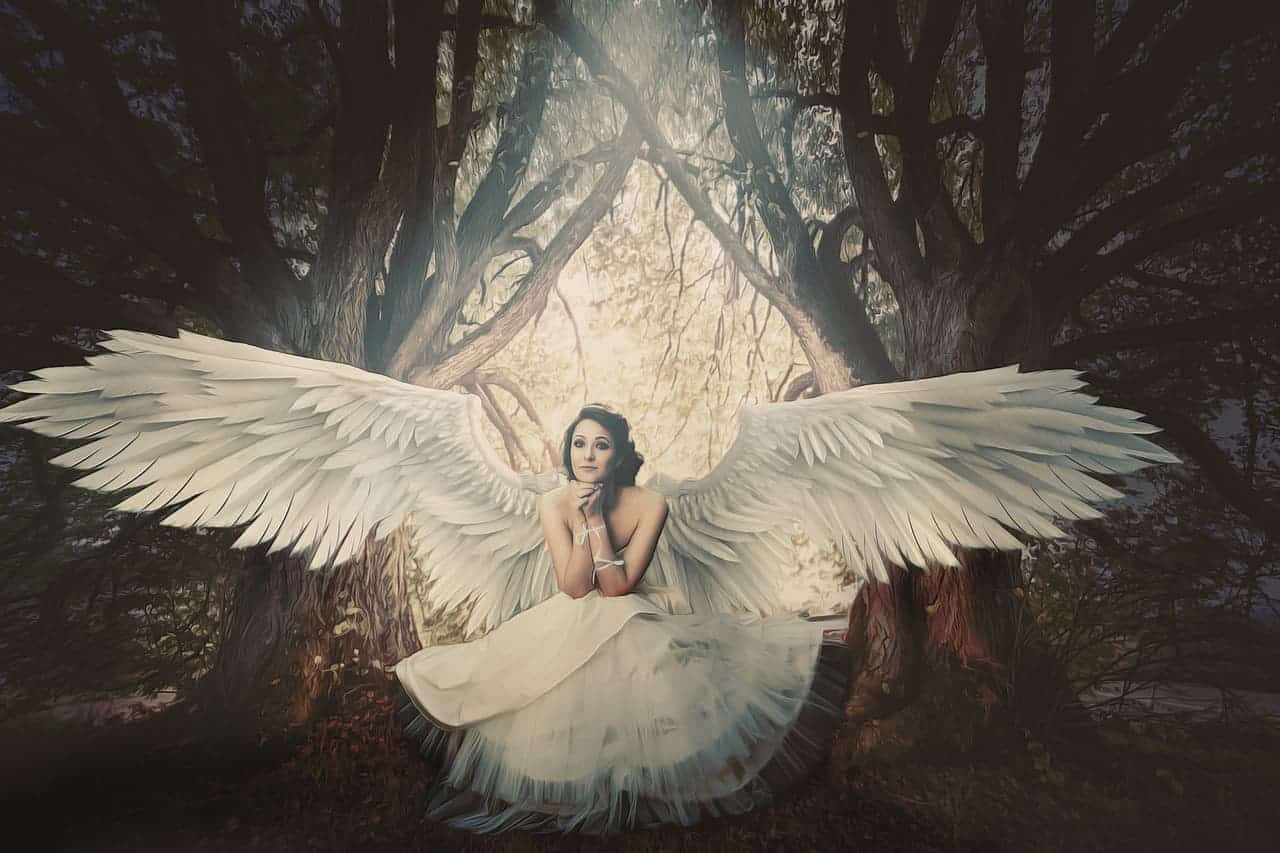 angel woman white wings