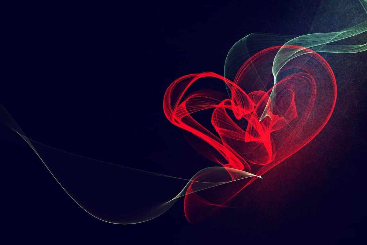 heart shape illustration love