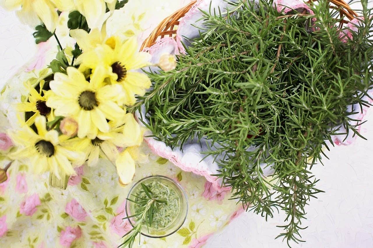 rosemary in basket