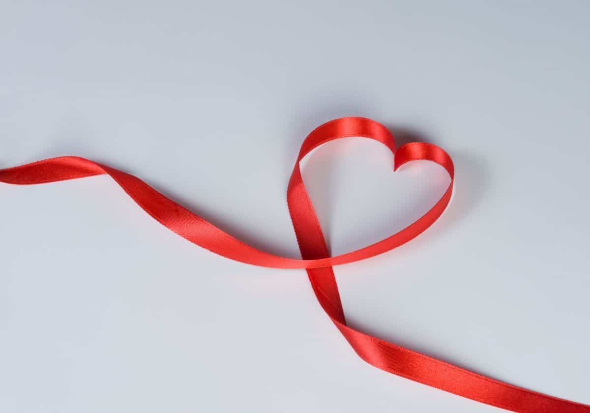 red velvet ribbon heart