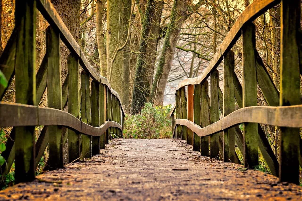 wooden bridge