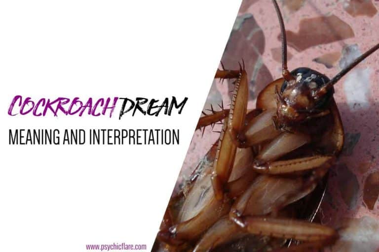 12 Spiritual Meanings of Dreams About Cockroaches