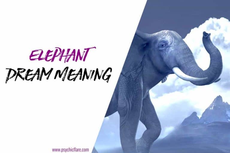 Elephant Dream Meaning & Spiritual Messages Explained