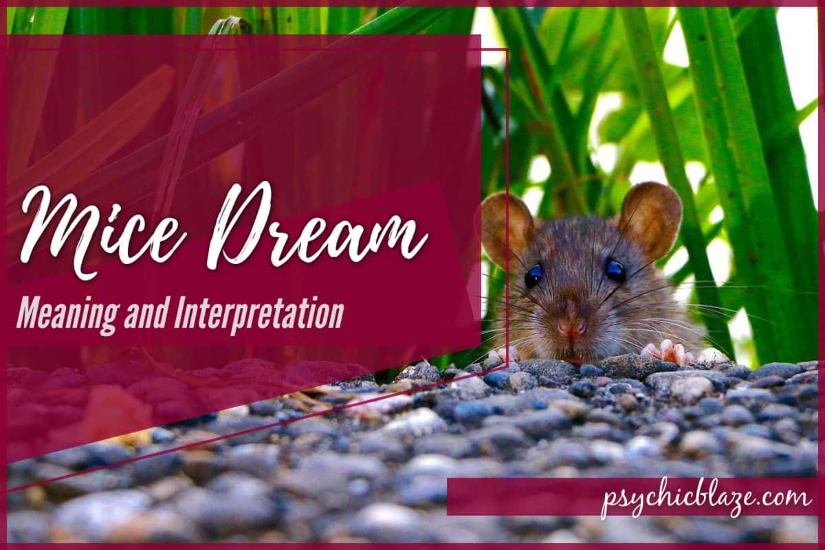 Mice Dream Meaning and Interpretation