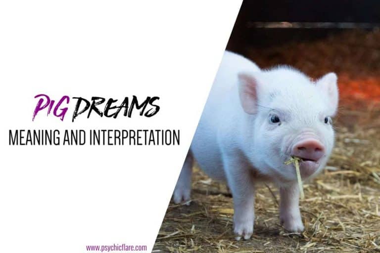 31 Spiritual Meanings When You Dream About Pigs