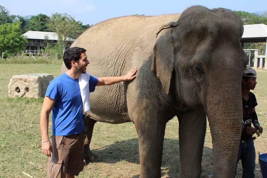 caressing elephant