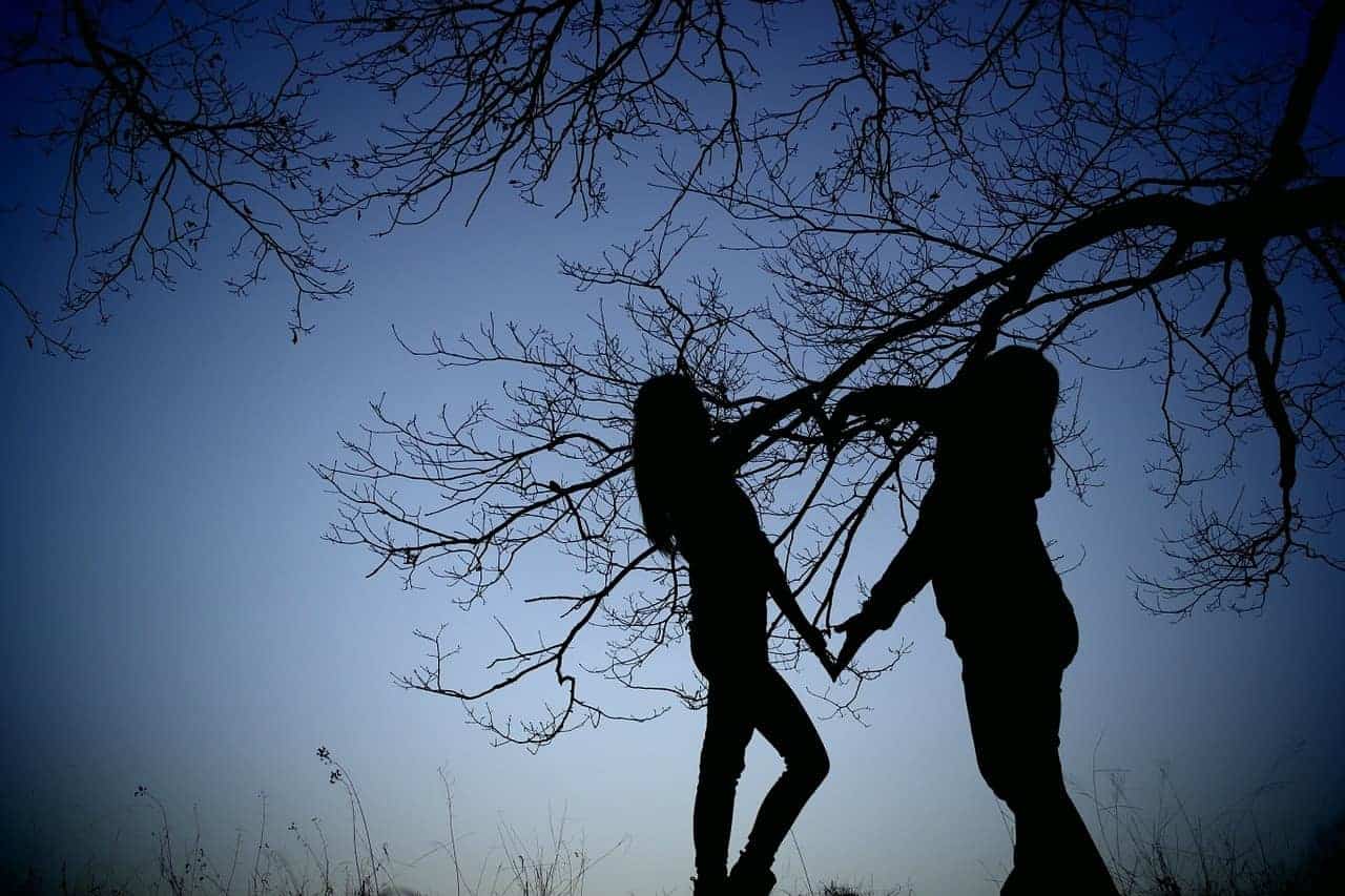  friends silhouette tree