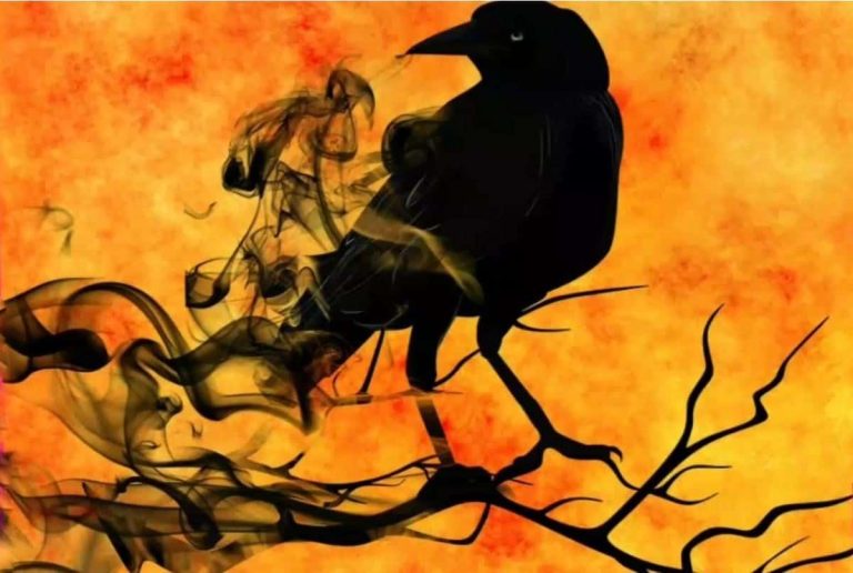 27 Spiritual Meanings of Crows in Dreams (Not Hopeful)