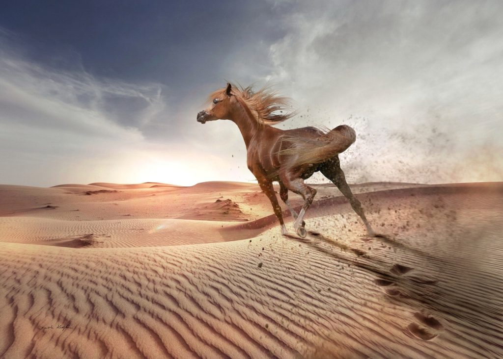 Brown Horse Dream Meaning & Spiritual Messages Explained