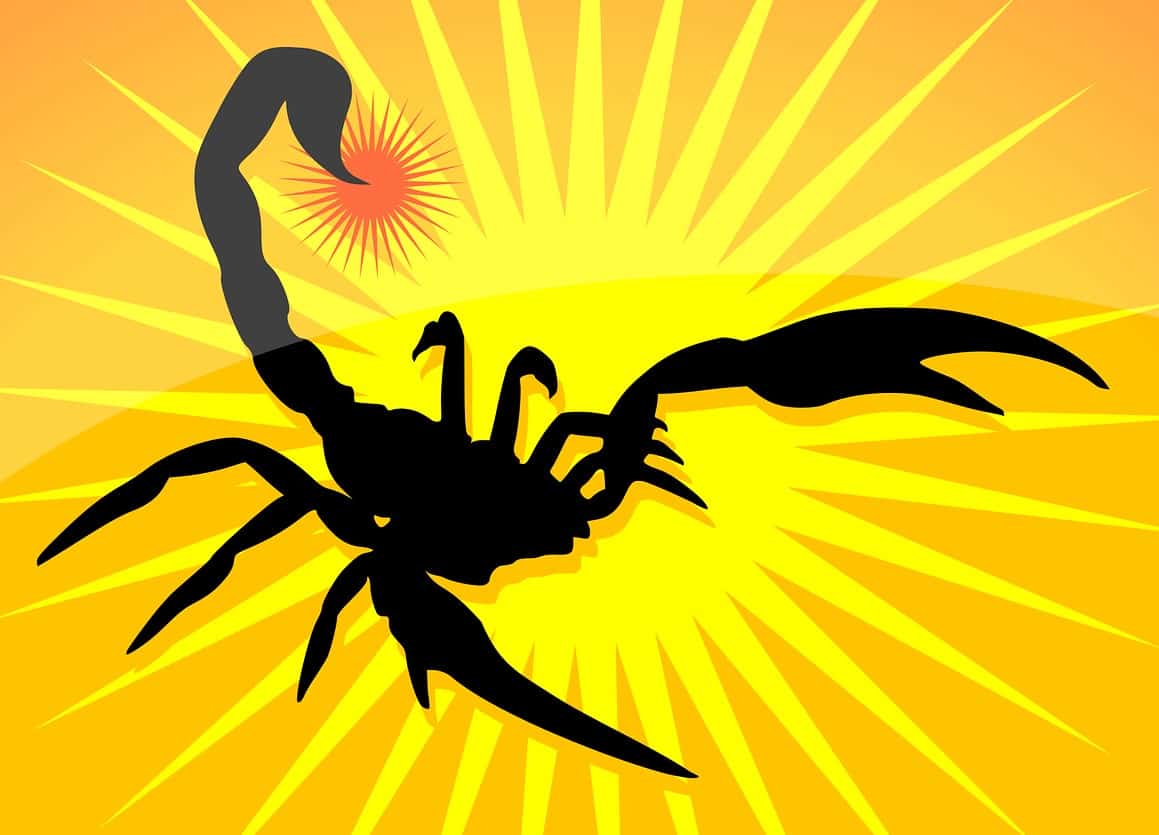 sun scorpio