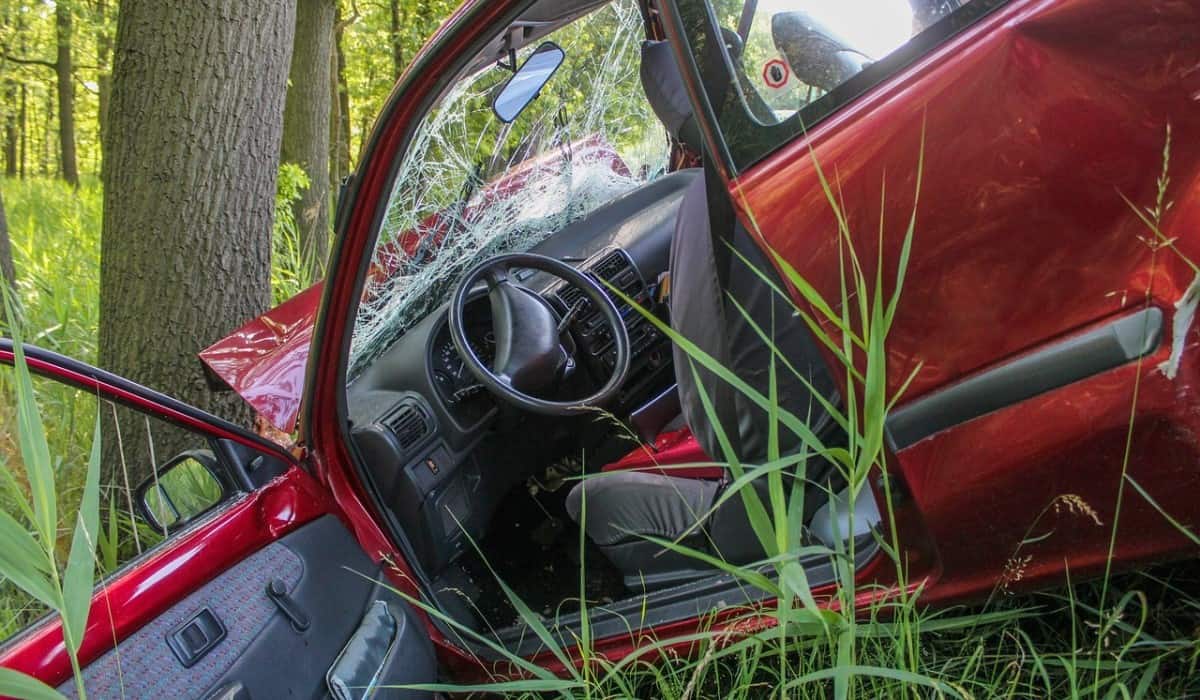 red car tree