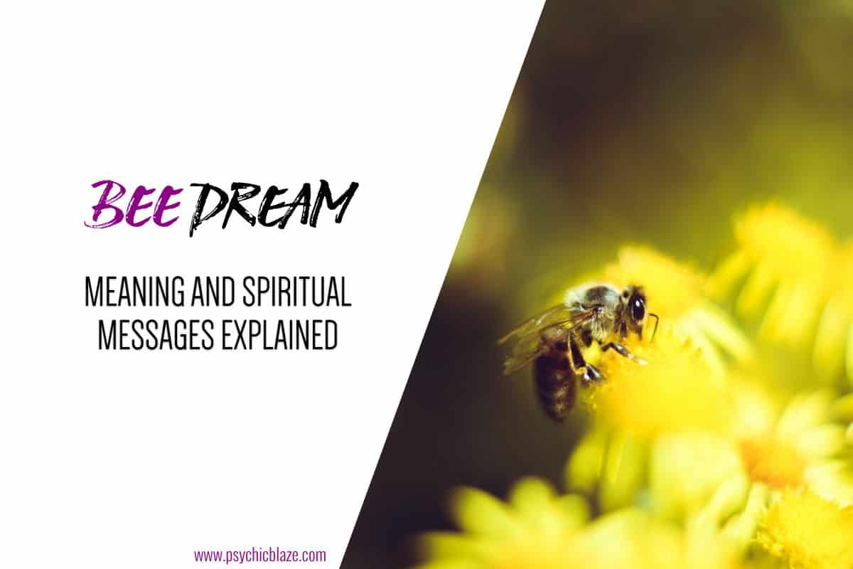 Dreaming of Bees: Meaning & Symbolism of Bee Dreams