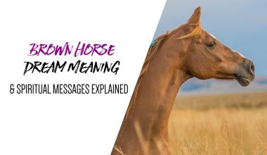 Brown Horse Dream Meaning & Spiritual Messages Explained