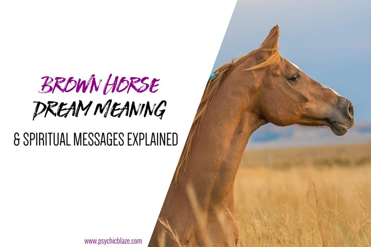 Brown Horse Dream Meaning Spiritual Messages Explained