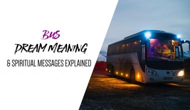 Bus Dream Meaning & Spiritual Messages Explained