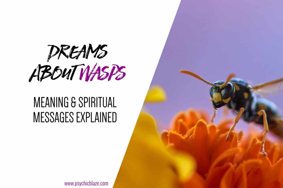 Dreams About Wasps Meaning & Spiritual Messages Explained