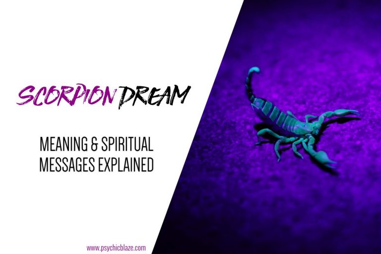 Scorpion Dream Meaning & Spiritual Messages Explained