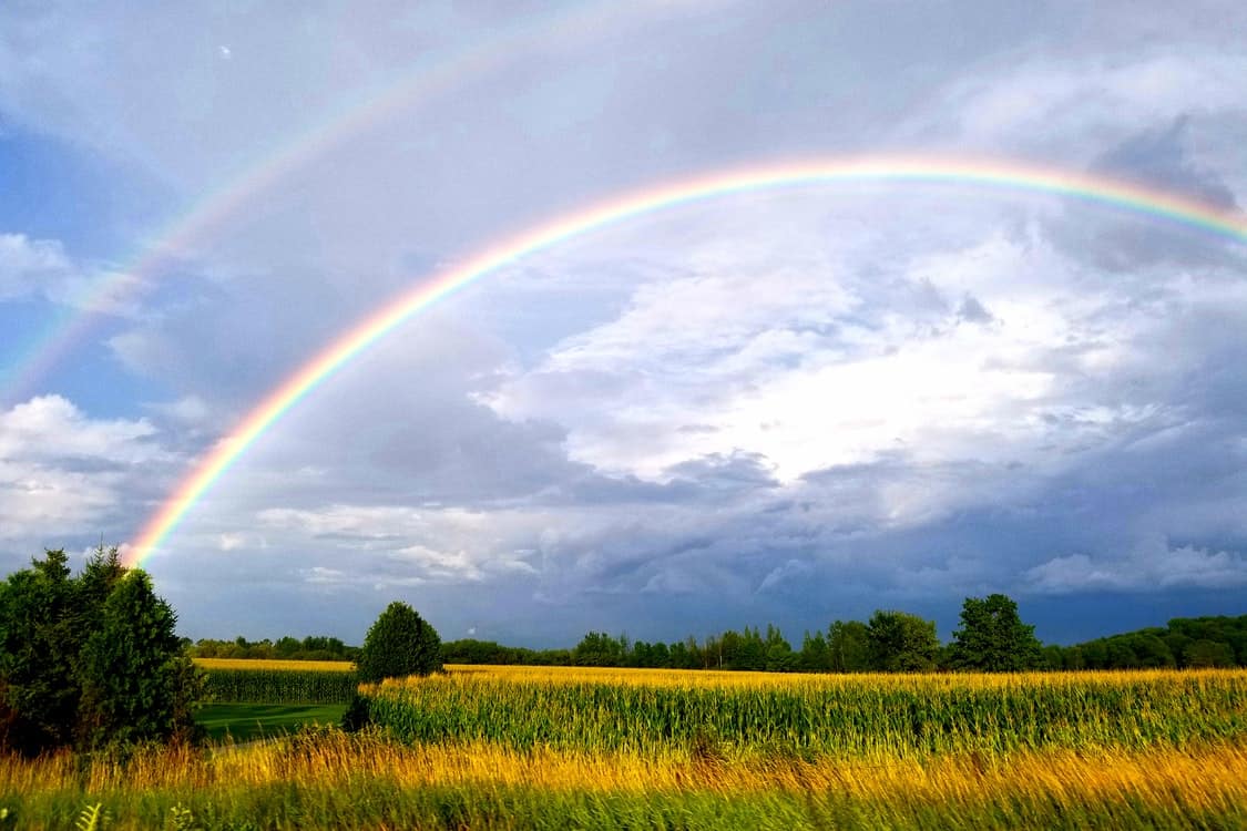 double rainbow field