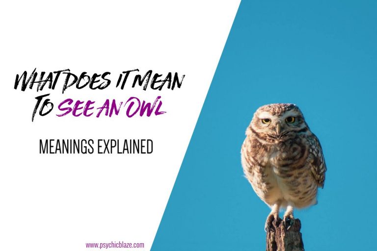 5 Spiritual Meanings When You See an Owl (Very Promising!)