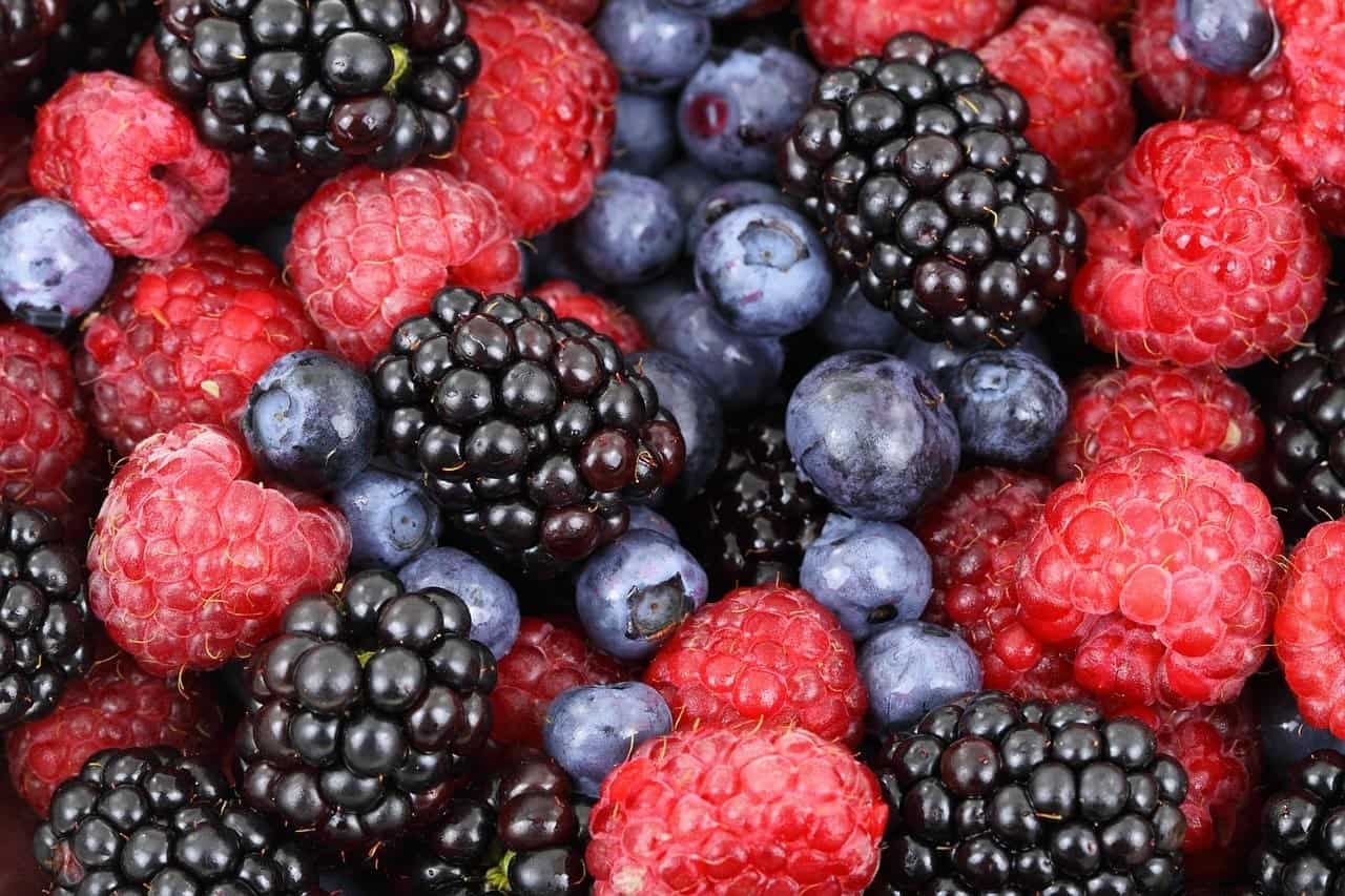 berries variety