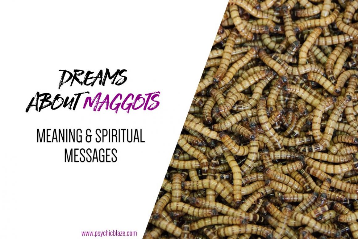 15-spiritual-meanings-of-dreams-about-maggots-not-good