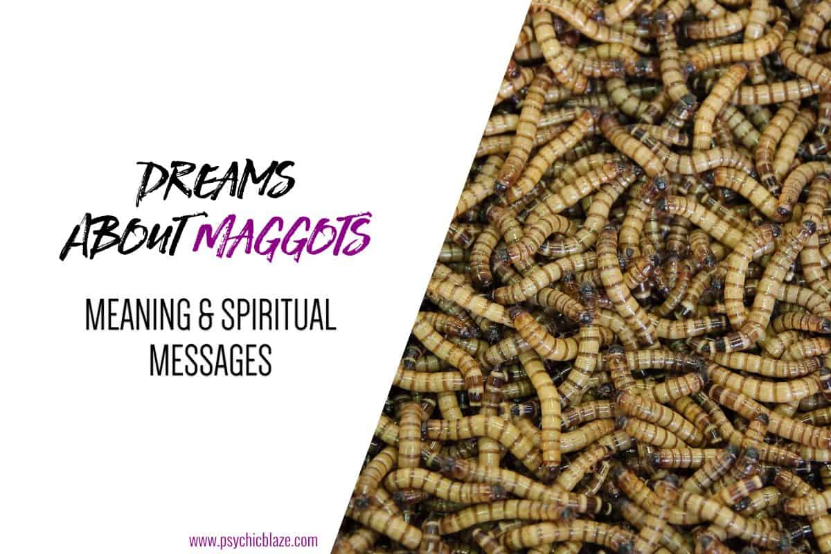 Dreams About Maggots Meaning & Spiritual Messages