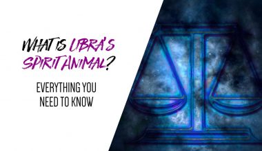 What is Libra’s Spirit Animal - Everything You Need to Know
