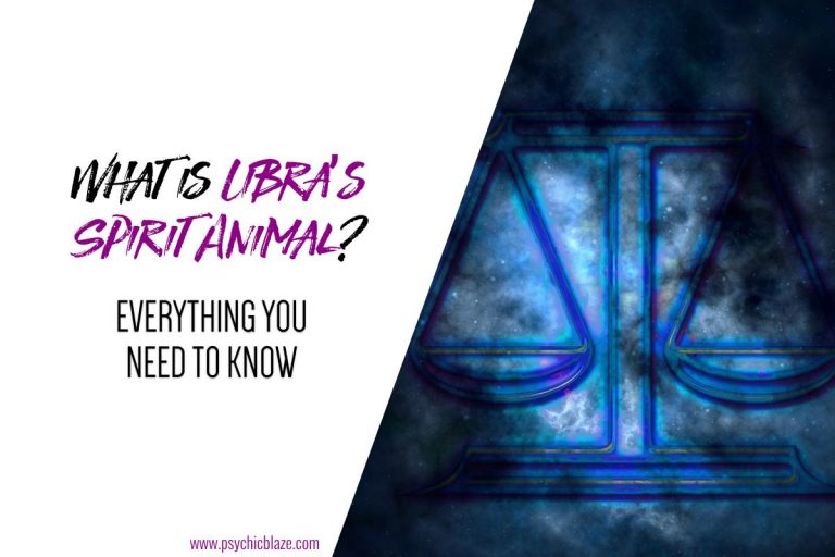 6 Libra’s Spirit Animals and Their Meanings Explained