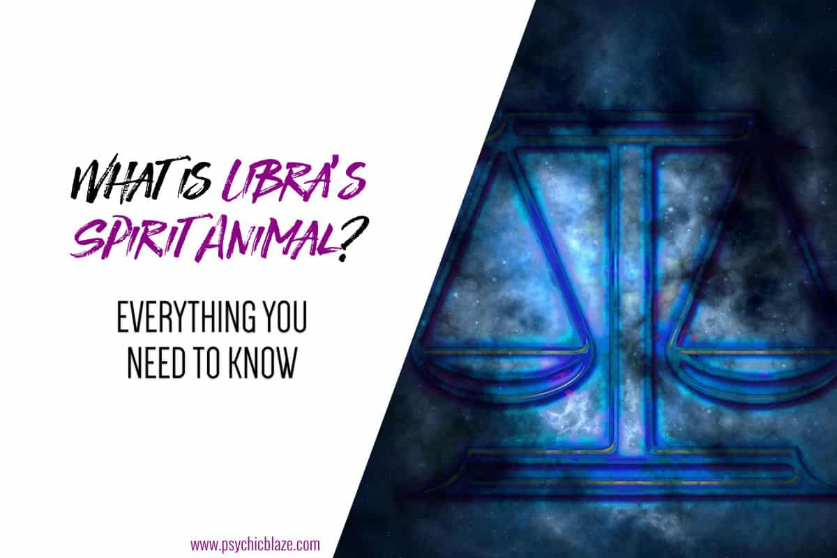 6 Libra's Spirit Animals and Their Meanings Explained