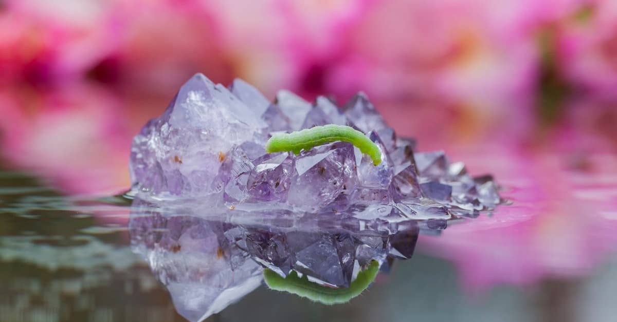 amethyst spring water