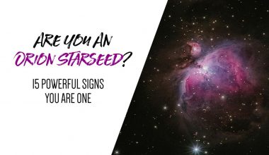 Are You An Orion Starseed 15 Powerful Signs You Are One