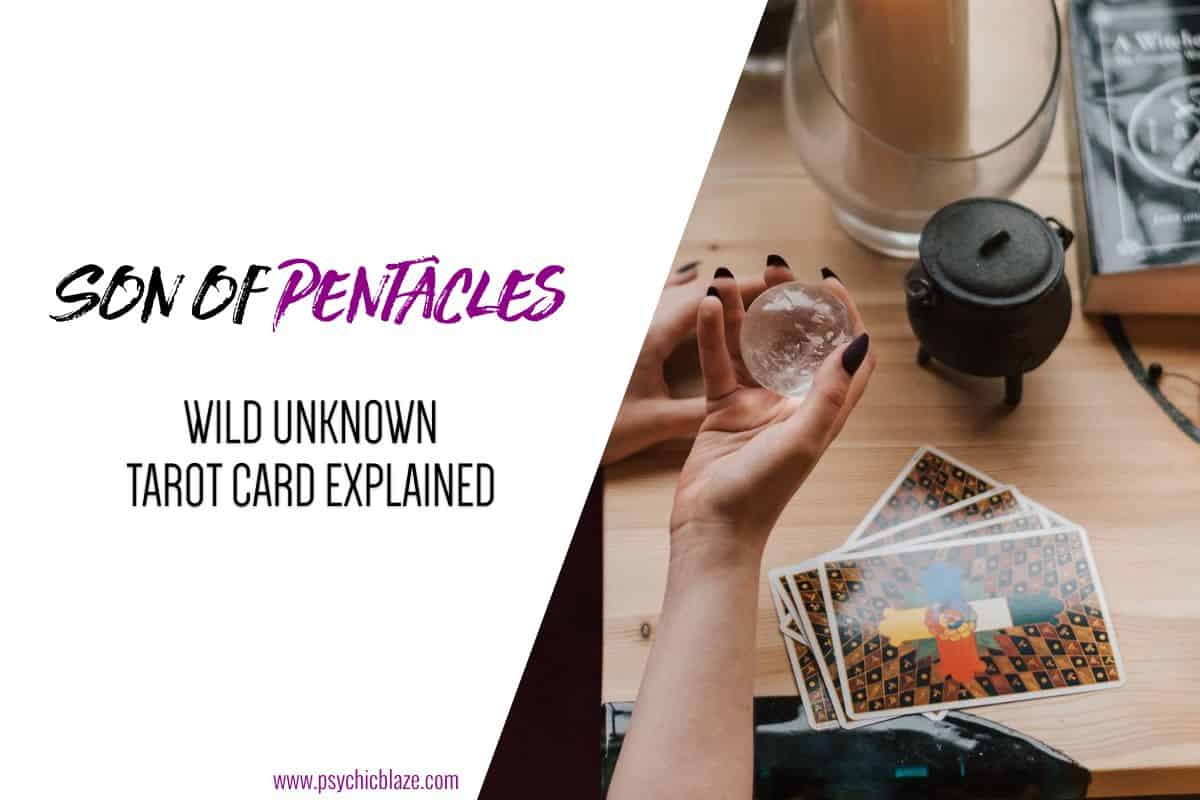 Son of Pentacles - Wild Unknown Tarot Card Explained