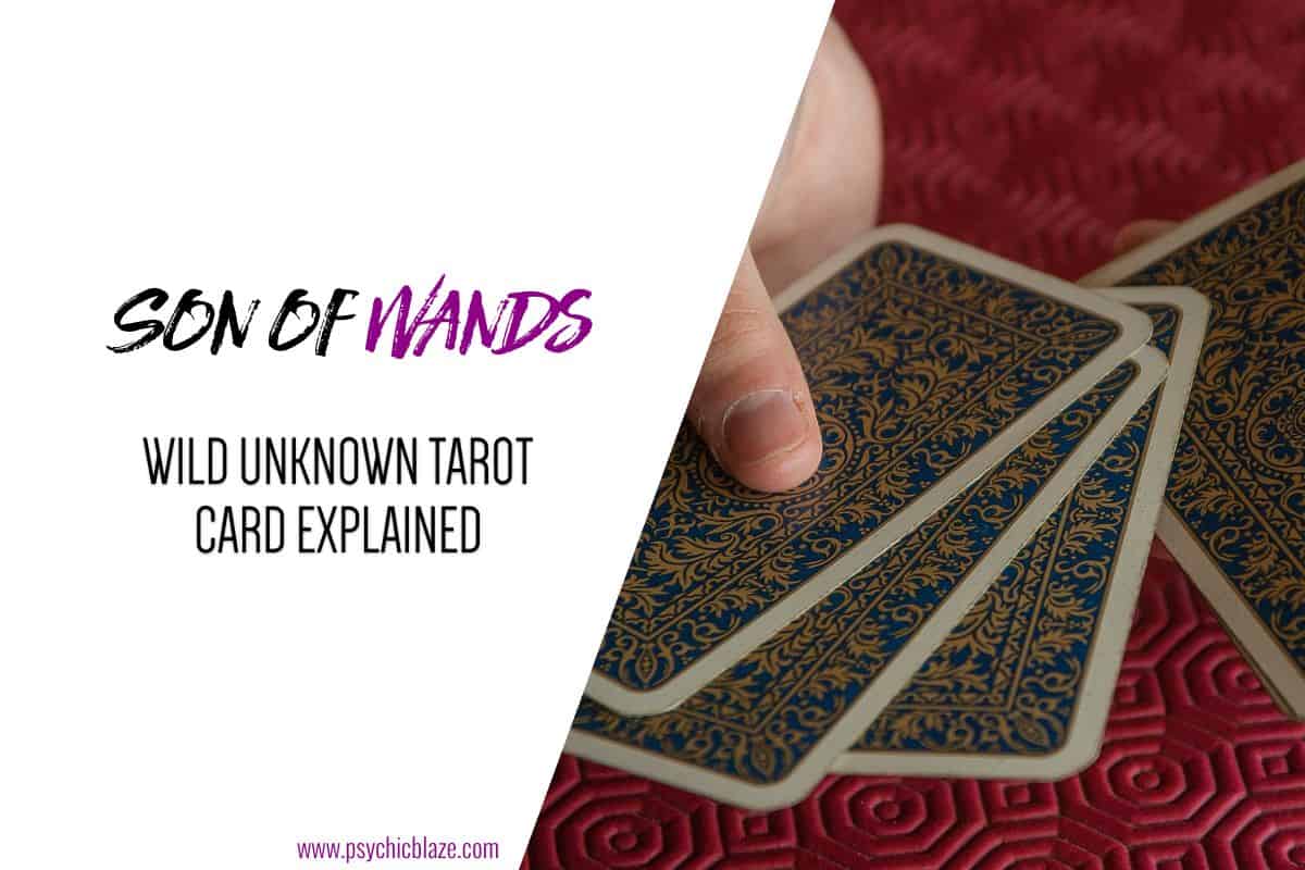 Son of Wands - Wild Unknown Tarot Card Explained