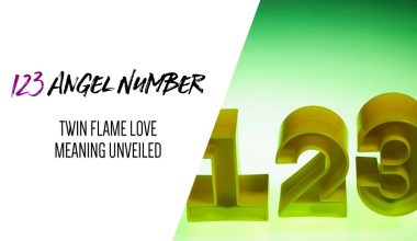 123 Angel Number Twin Flame Love Meaning Unveiled