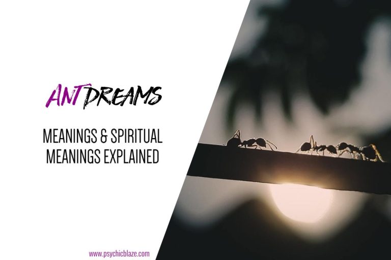 17 Spiritual Meanings of Dreams About Ants (Good & Bad)