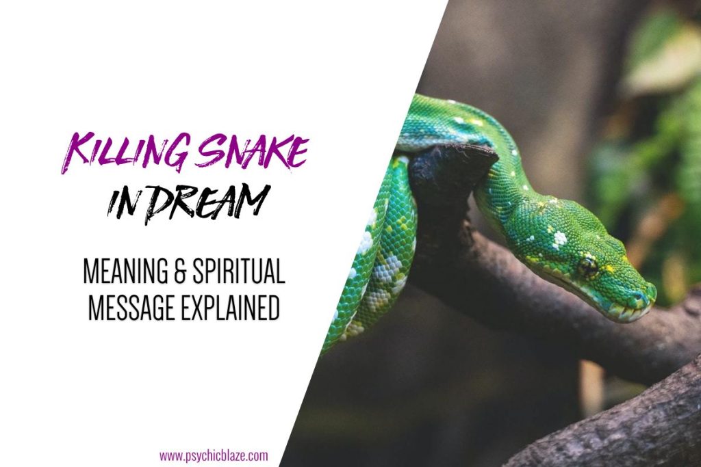 Meaning Of Killing A Snake In A Dream