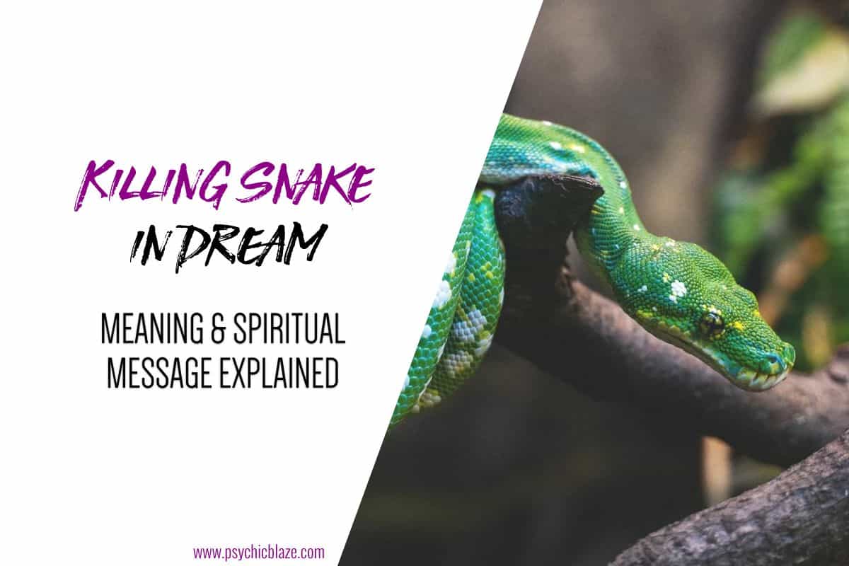 Killing Snake in Dream Meaning & Spiritual Message Explained