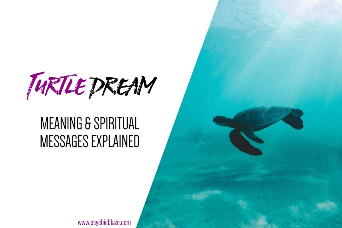 Turtle Dream — Meaning & Spiritual Messages Explained